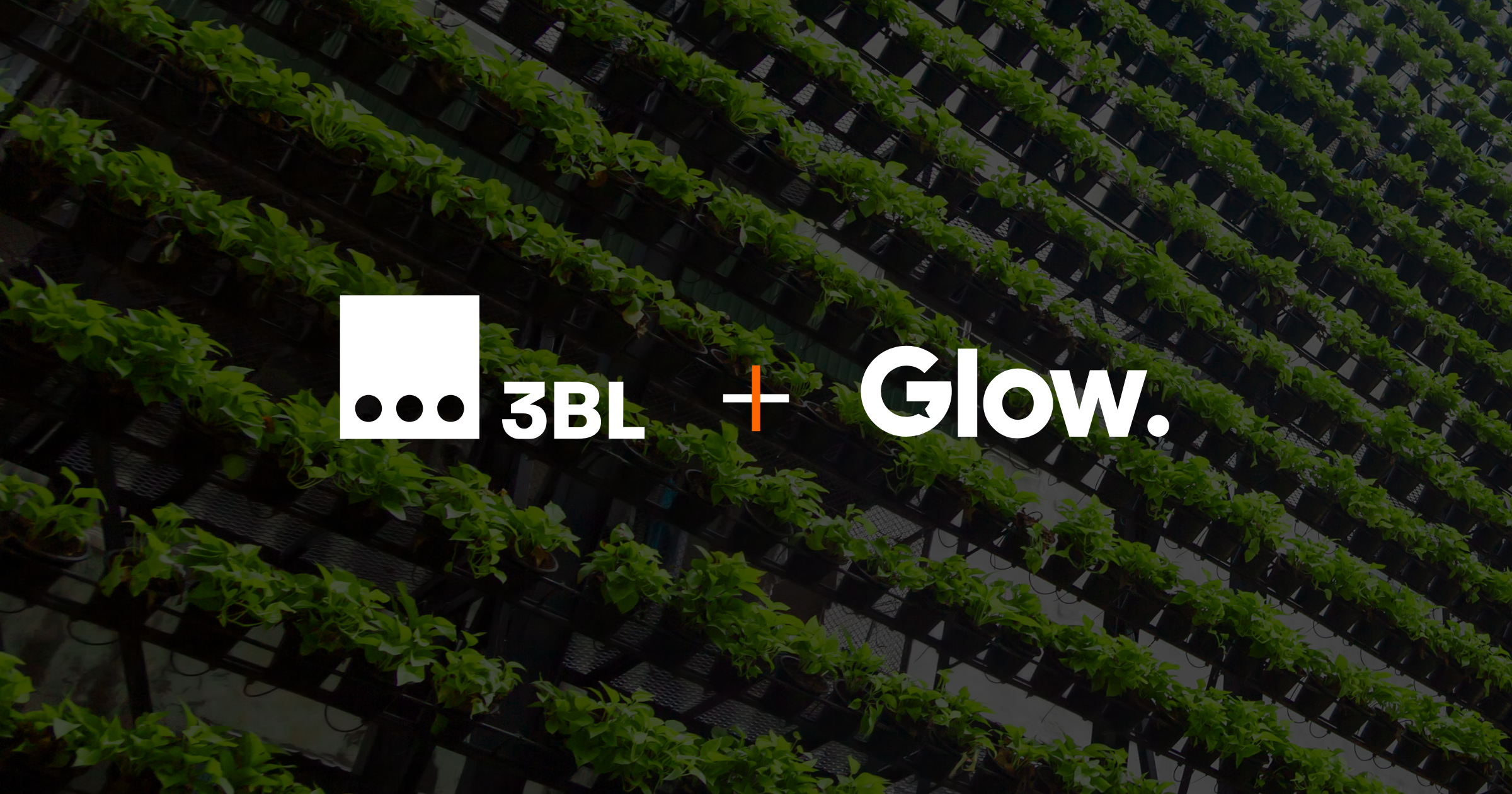 3BL + Glow logos